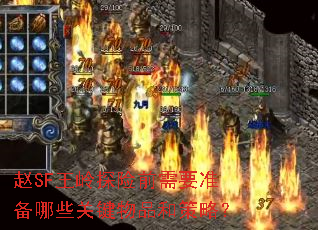 SF̽ǰҪ׼ЩؼƷͲԣ