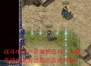 սHPӦԣָЧָ㷴Ϊʤ