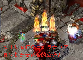 ڽ´иѡʺϵĹ᣿