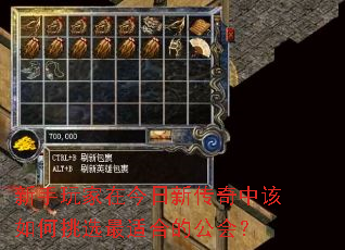 ڽ´иѡʺϵĹ᣿