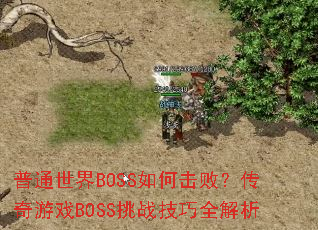 ͨBOSSλܣϷBOSSսȫ