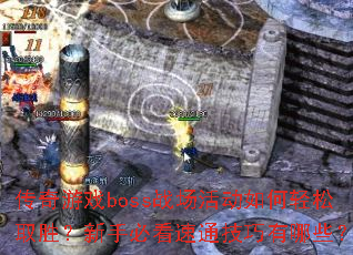ϷbossսȡʤֱؿͨЩ