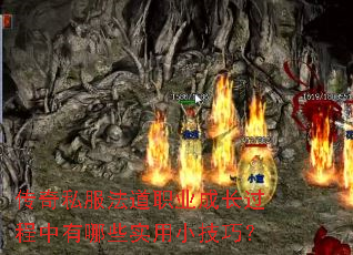 ˽ְҵɳЩʵСɣ