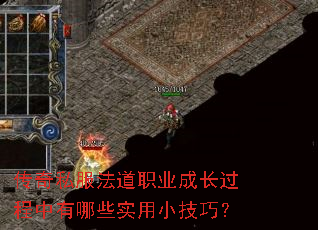 ˽ְҵɳЩʵСɣ