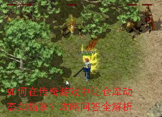ڴϷòֿ⶯ָ̬ƣʴȫ