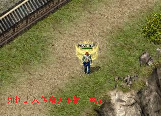 如何进入传奇天下第一榜? 如何进入传奇天下第一榜?