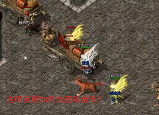 ��ʦǰ����ο���ˢ��ң�