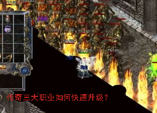 ��������ְҵ��ο���������