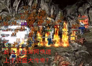 ����С����ο������ַ�ʢ���棿