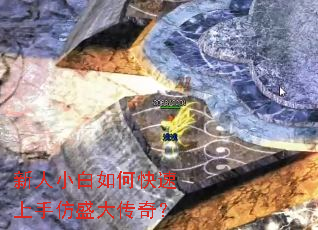 ����С����ο������ַ�ʢ���棿