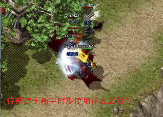 传奇道士新手时期使用什么武器? 传奇道士新手时期使用什么武器?