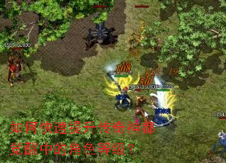 如何快速提升传奇神都觉醒中的角色等级? 如何快速提升传奇神都觉醒中的角色等级?