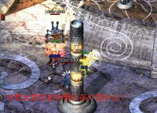 ��������ǿ��ʦ����������ʲô��