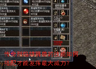 传奇烈焰雄狮兽的技能如何搭配才能发挥最大威力? 传奇烈焰雄狮兽的技能如何搭配才能发挥最大威力?