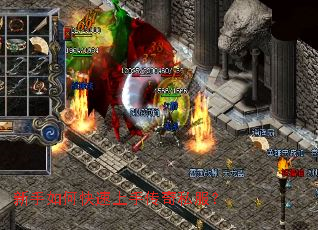 ������ο������ִ���˽����