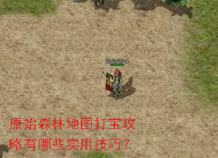 ԭʼɭ�ֵ�ͼ�򱦹�������Щʵ�ü��ɣ�