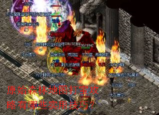 ԭʼɭ�ֵ�ͼ�򱦹�������Щʵ�ü��ɣ�