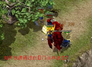 如何快速通过白日门丛林迷宫? 如何快速通过白日门丛林迷宫?