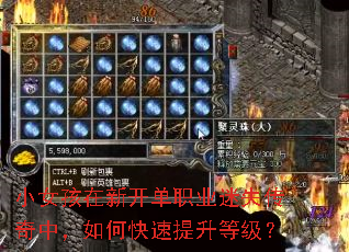 小女孩在新开单职业迷失传奇中,如何快速提升等级? 小女孩在新开单职业迷失传奇中,如何快速提升等级?