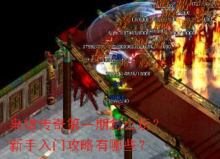 ���۴����һ����ô�棿�������Ź�������Щ��