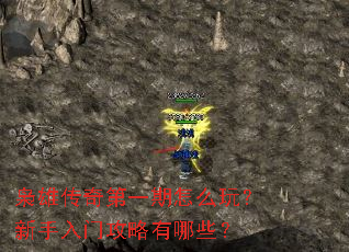 ���۴����һ����ô�棿�������Ź�������Щ��