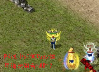 PKս������������õ��������ʤ��