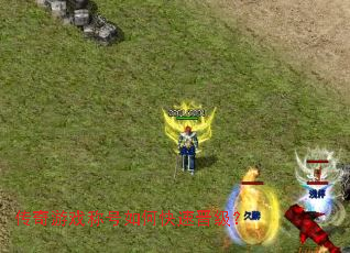 传奇游戏称号如何快速晋级? 传奇游戏称号如何快速晋级?