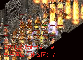 GOM引擎登录器商业版与普通版有什么区别? GOM引擎登录器商业版与普通版有什么区别?