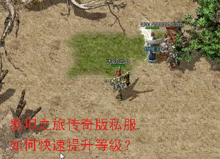 泰坦之旅传奇版私服如何快速提升等级? 泰坦之旅传奇版私服如何快速提升等级?