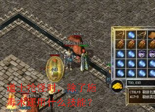 道士抢怪时,除了施毒术还用什么技能? 道士抢怪时,除了施毒术还用什么技能?