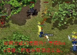 ���ͻ�ƻþ����֣�����Boss�鱨�����ɻ�ȡ����װ����