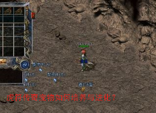 虎符传奇宠物如何培养与进化? 虎符传奇宠物如何培养与进化?