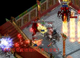 虎符传奇宠物如何培养与进化? 虎符传奇宠物如何培养与进化?