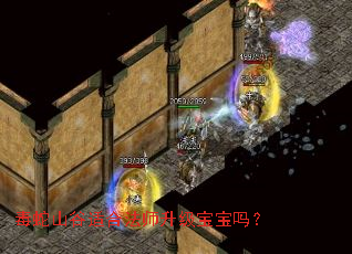 毒蛇山谷适合法师升级宝宝吗? 毒蛇山谷适合法师升级宝宝吗?