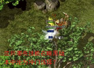 法师哪些技能在暗黑版本中沦为冷门选择? 法师哪些技能在暗黑版本中沦为冷门选择?