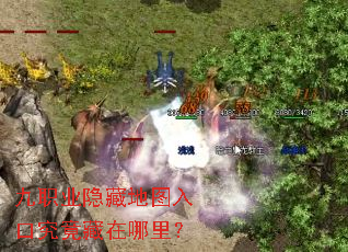 九职业隐藏地图入口究竟藏在哪里? 九职业隐藏地图入口究竟藏在哪里?