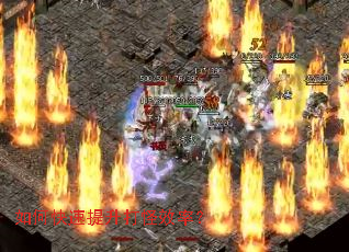 ��ο����������Ч�ʣ�