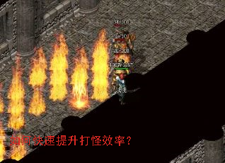 ��ο����������Ч�ʣ�