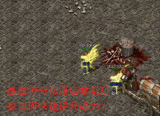 ��Ѫ����˽������������ο�������ս����