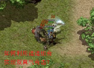 如何利用道道组合实现双真气合击? 如何利用道道组合实现双真气合击?