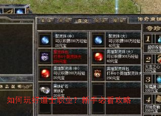 如何玩好道士职业?新手必看攻略 如何玩好道士职业?新手必看攻略