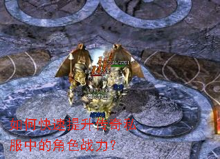 ��ο�����������˽���еĽ�ɫս����