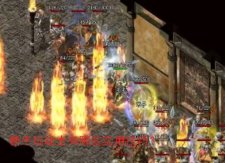 新手玩战士有哪些实用技巧? 新手玩战士有哪些实用技巧?