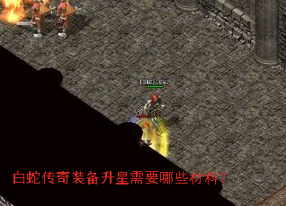 ���ߴ���װ��������Ҫ��Щ���ϣ�