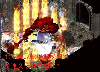 ԭؾ̽οͻս۷壿
