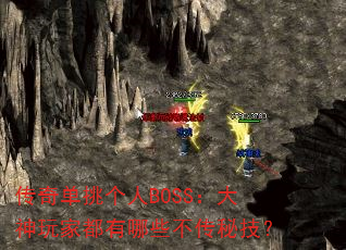 浥BOSSҶЩؼ