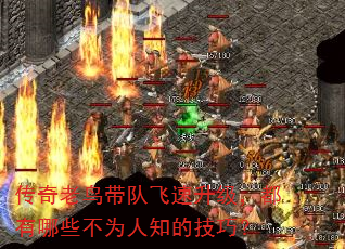 ӷЩΪ֪ļɣ