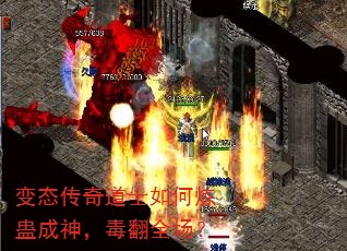 ̬ʿƳ񣬶ȫ