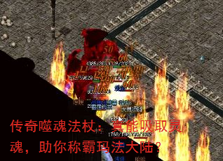 ɻ귨ȣȡ꣬ư귨½