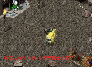 ˪ʺʲôĴʿң